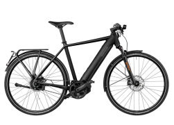 Riese & Muller Roadster Vario HS